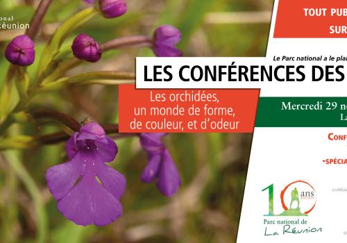 publi_internet_conf_orchidee.jpg