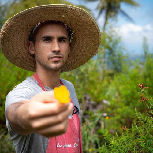 Tisane du volcan 