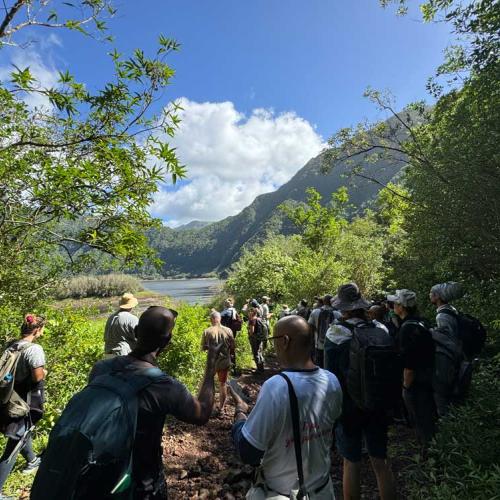 Les participants au séminaire Ramsar sont guidés jusqu'au lac de Grand Etang