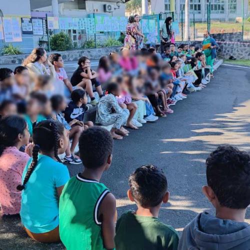 Restitution de PEAC Flore mené avec une classe de l'école André Malraux 