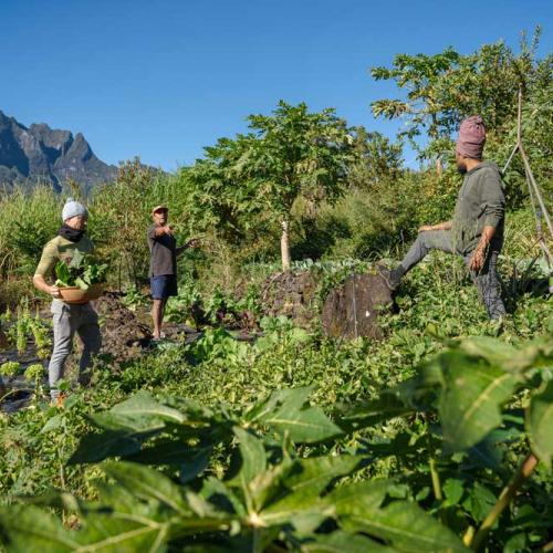 Des ateliers autour d'une alimentation saine et locale sont conduits dans le cadre du PAT Mafate 