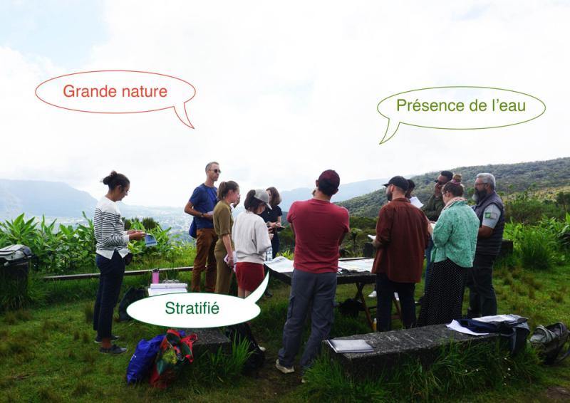 Les participants identifient les caractéristiques de divers paysages 
